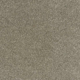 Neutral gray carpet texture for stylish home flooring options