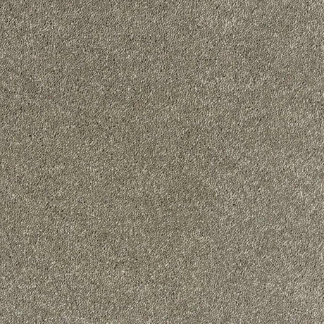 Neutral gray carpet texture for stylish home flooring options