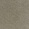Neutral gray carpet texture for stylish home flooring options
