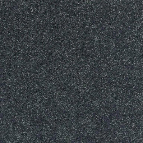 Dark textured carpet flooring for modern interiors