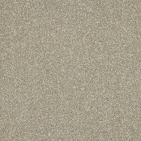 Abingdon Knightsbridge Berber Carpet Exen Flooring