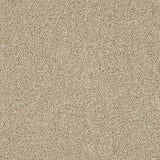Abingdon Knightsbridge Berber Carpet Exen Flooring