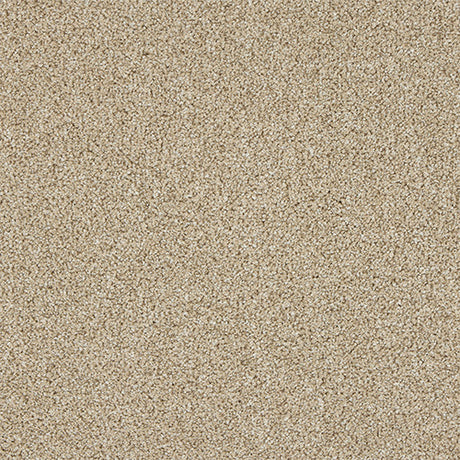 Abingdon Knightsbridge Berber Carpet Exen Flooring