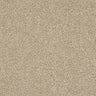 Abingdon Knightsbridge Berber Carpet Exen Flooring