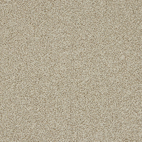 Abingdon Knightsbridge Berber Carpet Exen Flooring