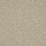 Abingdon Knightsbridge Berber Carpet Exen Flooring