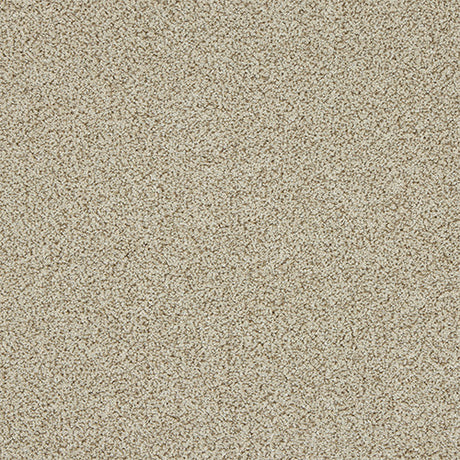 Abingdon Knightsbridge Berber Carpet Exen Flooring