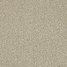 Abingdon Knightsbridge Berber Carpet Exen Flooring
