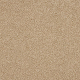 Abingdon Knightsbridge Berber Carpet Exen Flooring