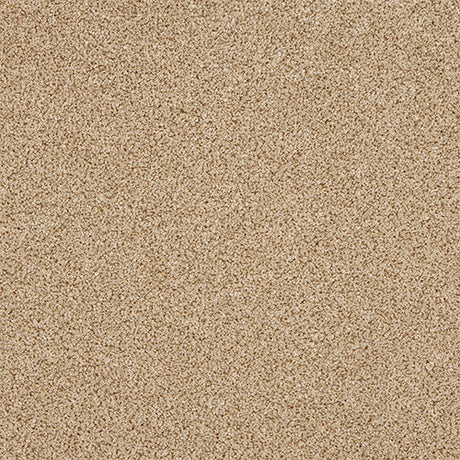 Abingdon Knightsbridge Berber Carpet Exen Flooring
