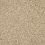 Abingdon Knightsbridge Berber Carpet Exen Flooring