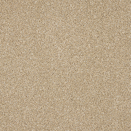 Abingdon Knightsbridge Berber Carpet Exen Flooring