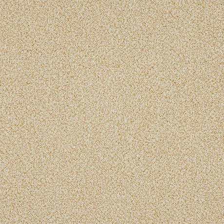 Abingdon Knightsbridge Berber Carpet Exen Flooring