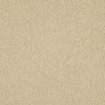 Abingdon Knightsbridge Berber Carpet Exen Flooring
