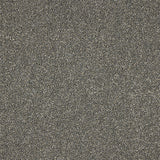 Abingdon Knightsbridge Berber Carpet Exen Flooring