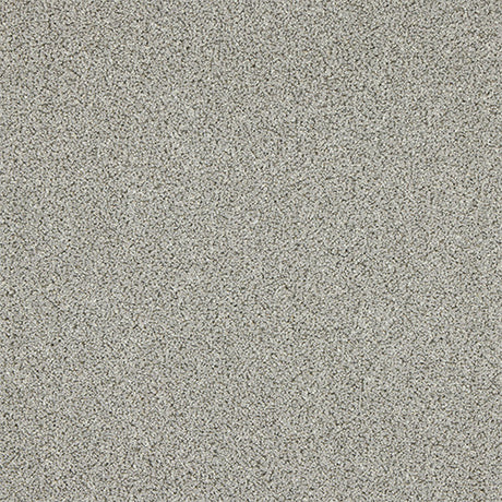 Abingdon Knightsbridge Berber Carpet Exen Flooring