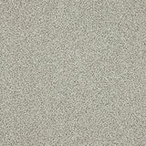 Abingdon Knightsbridge Berber Carpet Exen Flooring