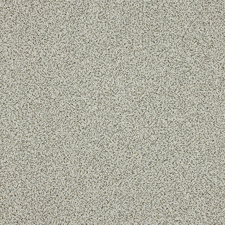 Abingdon Knightsbridge Berber Carpet Exen Flooring