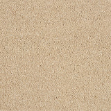 Abingdon Love Story Hidden Depths Carpet Exen Flooring