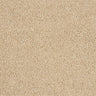 Abingdon Love Story Hidden Depths Carpet Exen Flooring