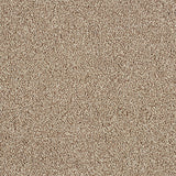 Abingdon Love Story Hidden Depths Carpet Exen Flooring