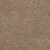 Abingdon Love Story Hidden Depths Carpet Exen Flooring
