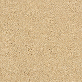 Abingdon Love Story Hidden Depths Carpet Exen Flooring
