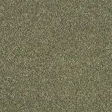 Abingdon Love Story Hidden Depths Carpet Exen Flooring