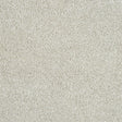 Abingdon Love Story Soft Whisper Carpet Exen Flooring