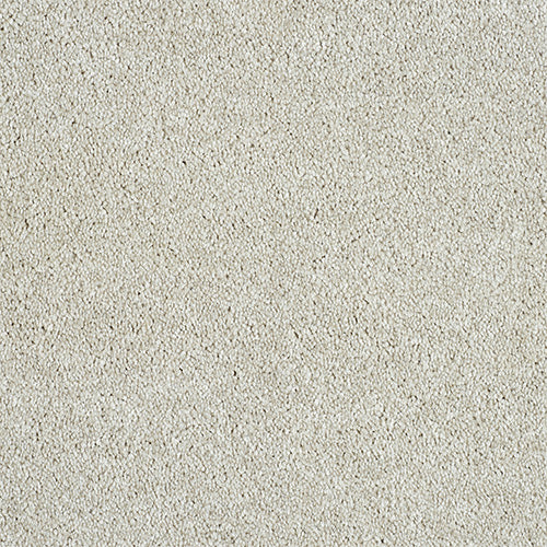Abingdon Love Story Soft Whisper Carpet Exen Flooring