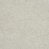 Abingdon Love Story Soft Whisper Carpet Exen Flooring