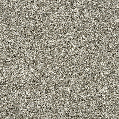 Abingdon Love Story Soft Whisper Carpet Exen Flooring