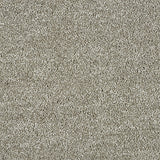 Abingdon Love Story Soft Whisper Carpet Exen Flooring