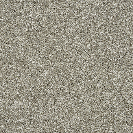 Abingdon Love Story Soft Whisper Carpet Exen Flooring