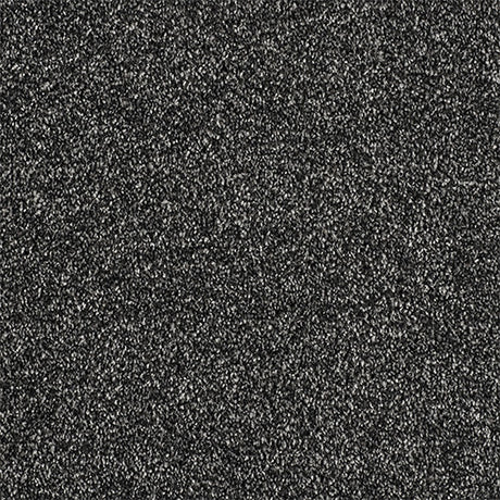 Abingdon Love Story Soft Whisper Carpet Exen Flooring