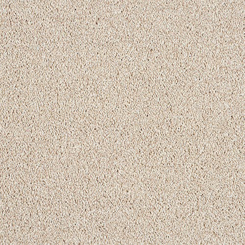 Abingdon Love Story Soft Whisper Carpet Exen Flooring