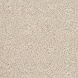Abingdon Love Story Soft Whisper Carpet Exen Flooring