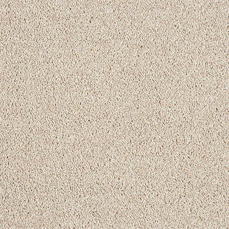 Abingdon Love Story Soft Whisper Carpet Exen Flooring