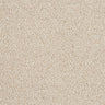 Abingdon Love Story Soft Whisper Carpet Exen Flooring