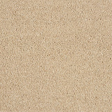 Abingdon Love Story Soft Whisper Carpet Exen Flooring