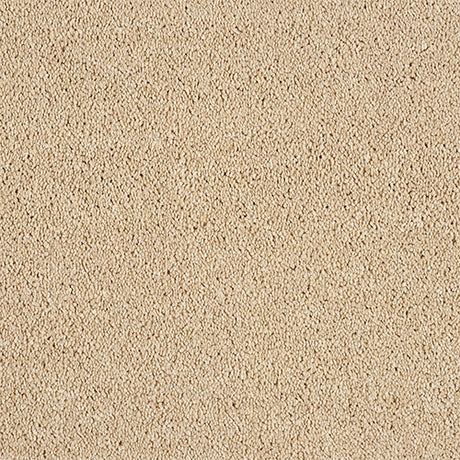 Abingdon Love Story Soft Whisper Carpet Exen Flooring