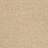 Abingdon Love Story Soft Whisper Carpet Exen Flooring