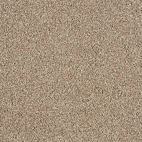 Abingdon Love Story Soft Whisper Carpet Exen Flooring
