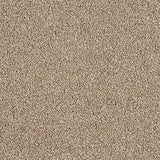 Abingdon Love Story Soft Whisper Carpet Exen Flooring