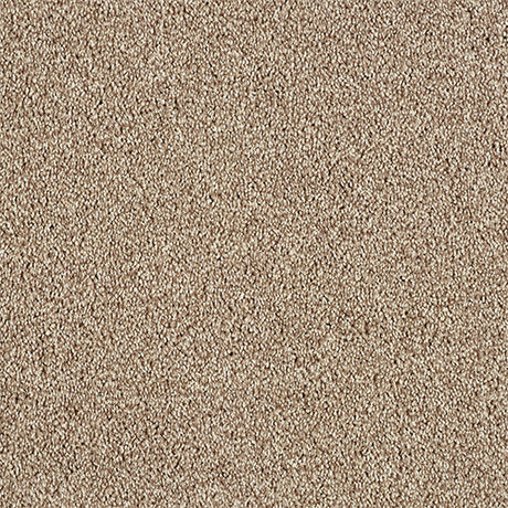 Abingdon Love Story Soft Whisper Carpet Exen Flooring