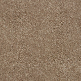 Abingdon Love Story Soft Whisper Carpet Exen Flooring