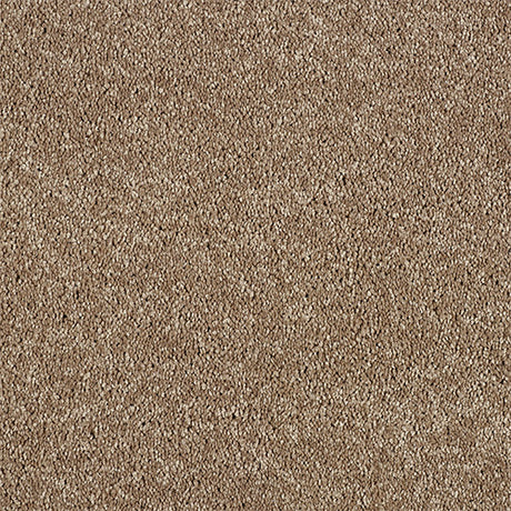 Abingdon Love Story Soft Whisper Carpet Exen Flooring
