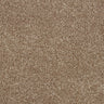 Abingdon Love Story Soft Whisper Carpet Exen Flooring