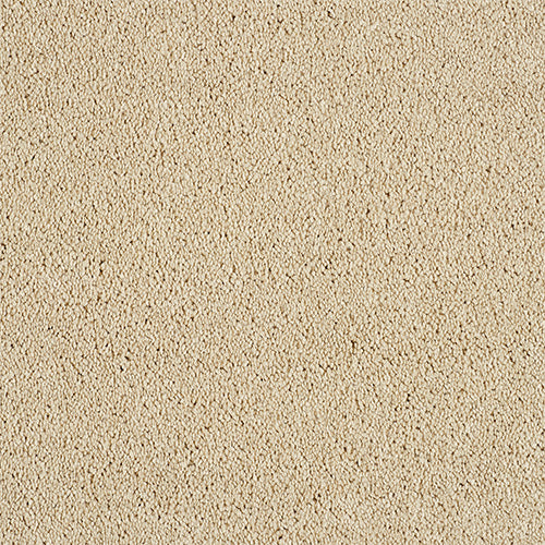 Abingdon Love Story Soft Whisper Carpet Exen Flooring