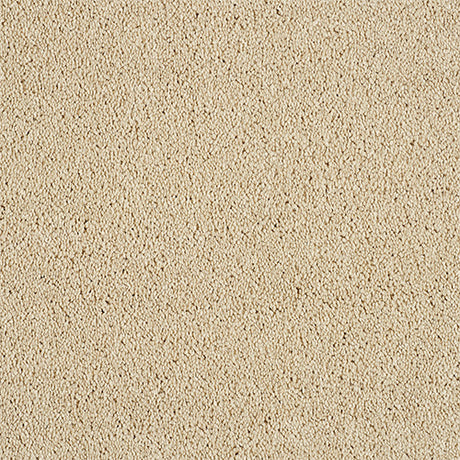 Abingdon Love Story Soft Whisper Carpet Exen Flooring